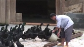 China: Poverty Reduction